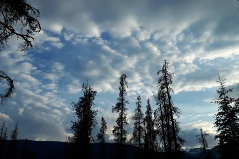 Wabasso Campground - Jasper National Park