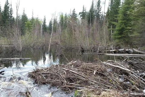 Calling Lake Provincial Park