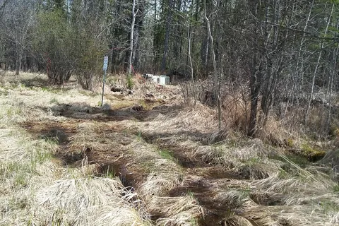 Calling Lake Provincial Park