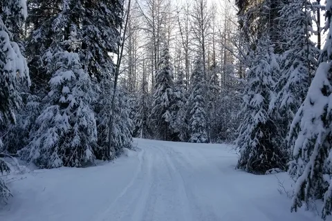 Klondike River Campground