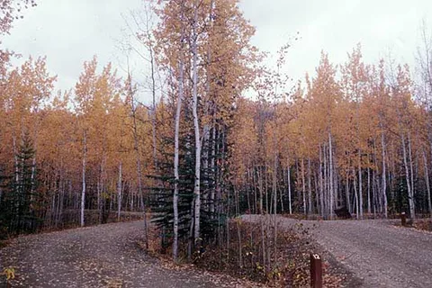 Klondike River Campground