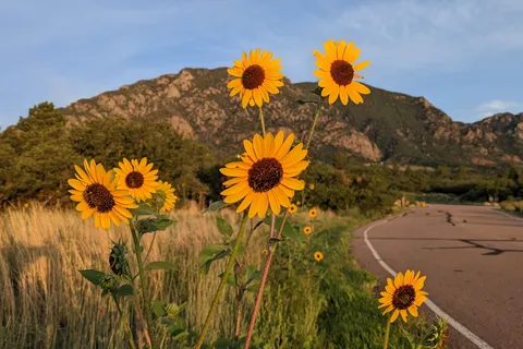 Cheyenne Mountain State Park