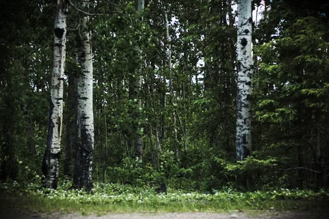 Nemeiben Lake - Lac La Ronge Provincial Park