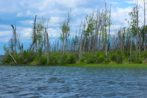 Nemeiben Lake - Lac La Ronge Provincial Park