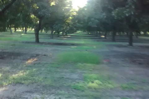 Triple R Resort RV Park