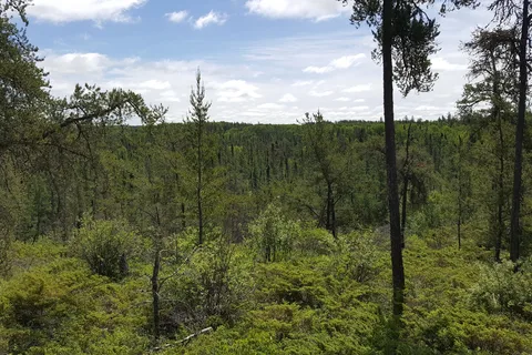 Brereton Lake - Whiteshell Provincial Park
