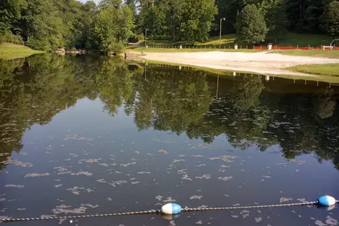 Steele Creek Park