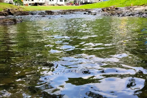 Steele Creek Park