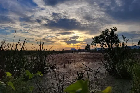 Sunset Marina at 43