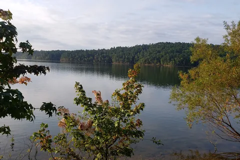Daisy State Park