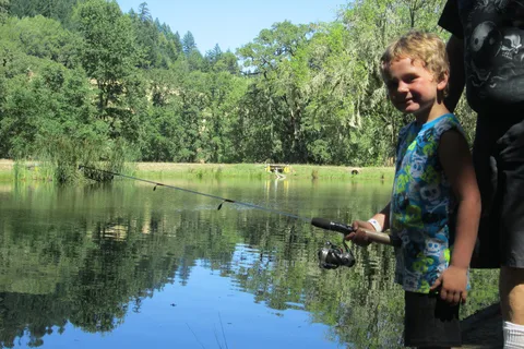 Mendocino Redwoods RV Resort