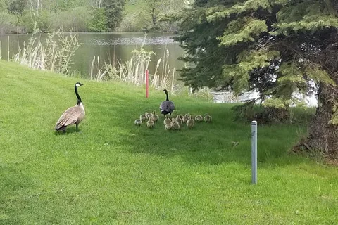 Goose Hummock RV Resort