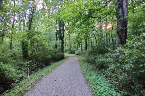 Cove Lake State Park