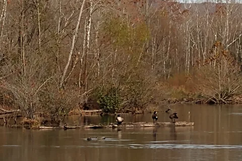 Cove Lake State Park