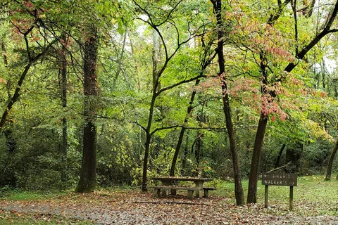 Cove Lake State Park