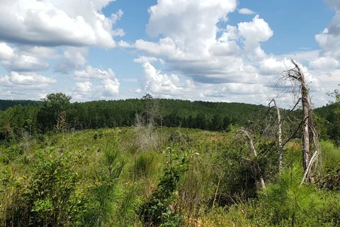 Paul M Grist State Park