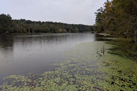 Paul M Grist State Park