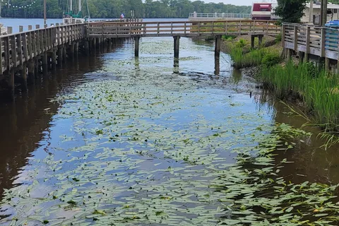 Bucksport Plantation Marina and RV Resort