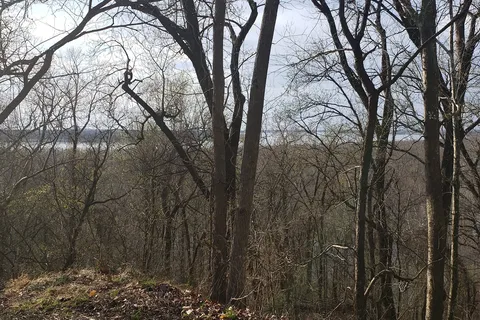 Fort Pillow State Park