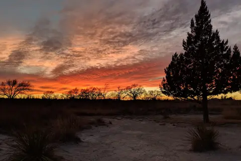 Oasis State Park