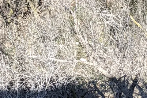 Timber Canyon - Scott State Park