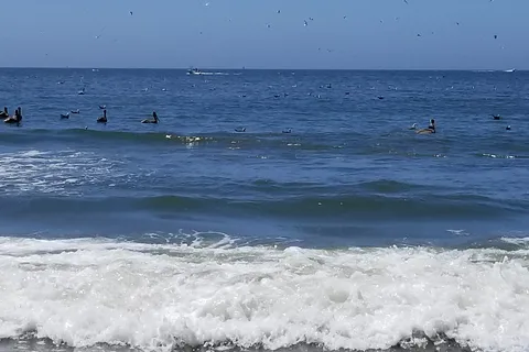 Pillar Point RV Park