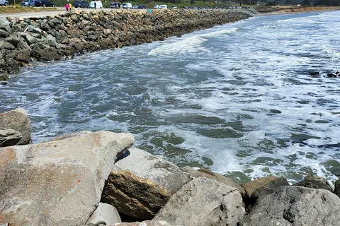 Pillar Point RV Park