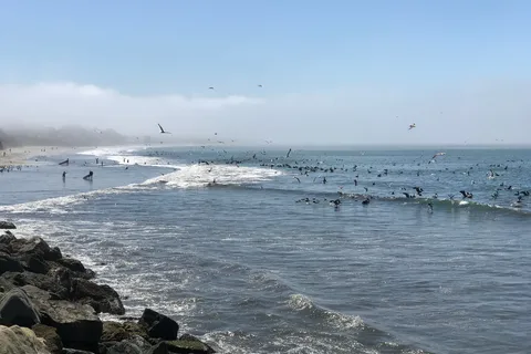Pillar Point RV Park