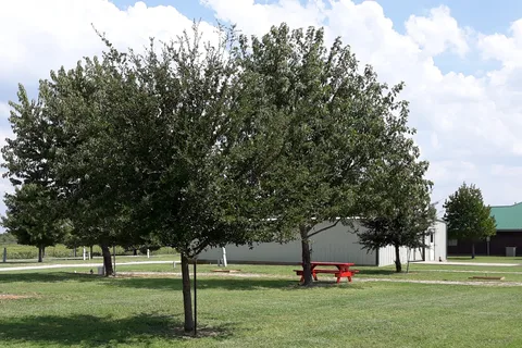 Country Living RV Park