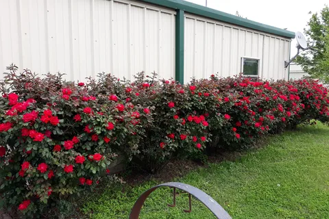 Country Living RV Park