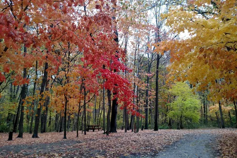 Hidden Paradise Campground