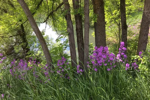 Whitefish RV Park