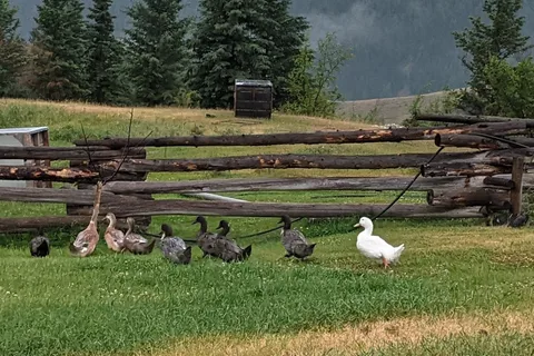 Big Bar Guest Ranch