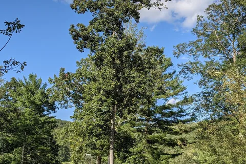 Lake Waramaug State Park Campground