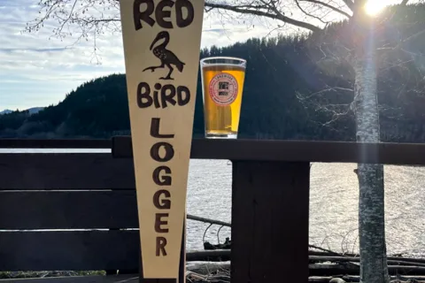 Scarlet Ibis Pub