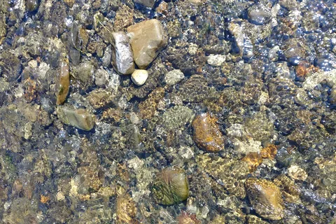 James Wilson Provincial Recreational Area