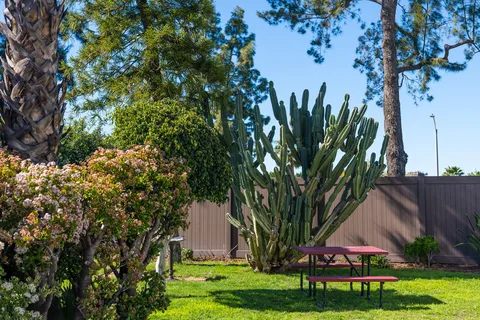 Vacationer RV Resort - Sunland