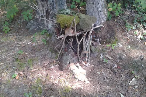 Forest Lake Campgrounds
