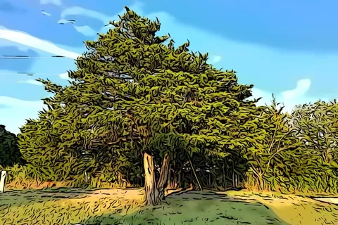 Lavonland RV Resort