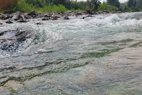 Castle Falls Recreational Area