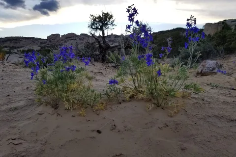 Fossil Valley RV Park