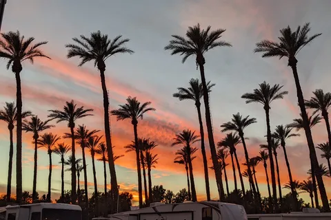 Palm Springs RV Resort