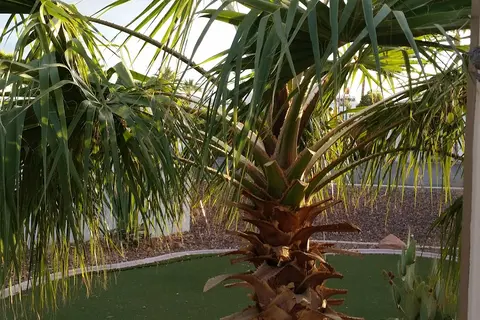 Shangri La RV Park