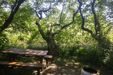 Screamin Eagle Campground and RV