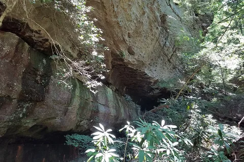 Bear Creek Horse Camp - Big South Fork National River Recreational Area