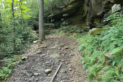 Bear Creek Horse Camp - Big South Fork National River Recreational Area