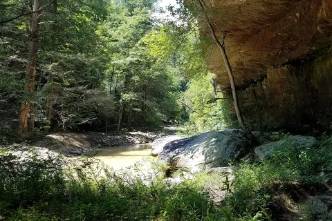 Bear Creek Horse Camp - Big South Fork National River Recreational Area