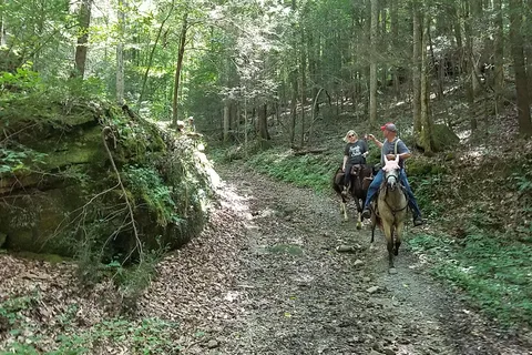 Bear Creek Horse Camp - Big South Fork National River Recreational Area