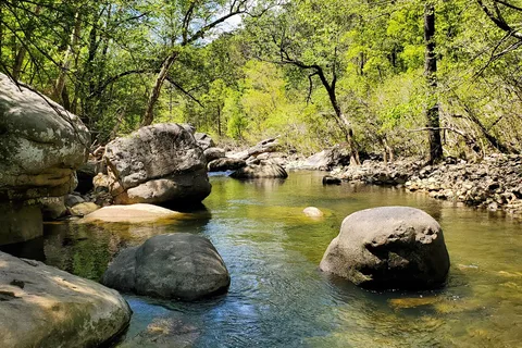 Buck's Pocket State Park
