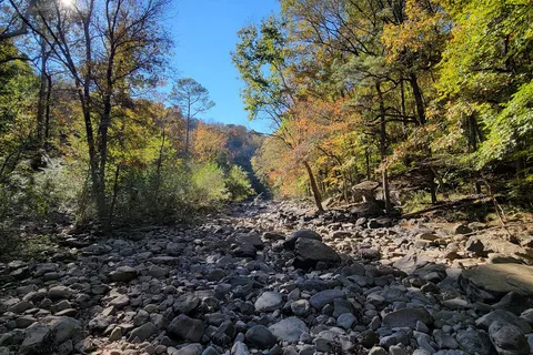 Buck's Pocket State Park